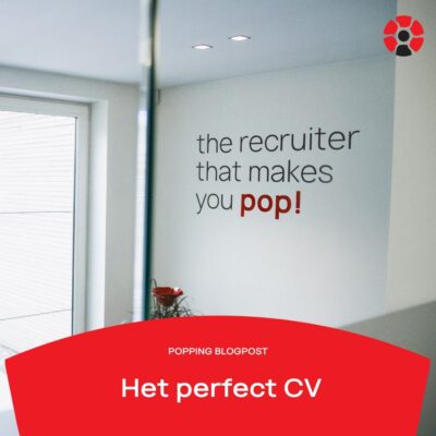 BLOG: Het Perfect CV