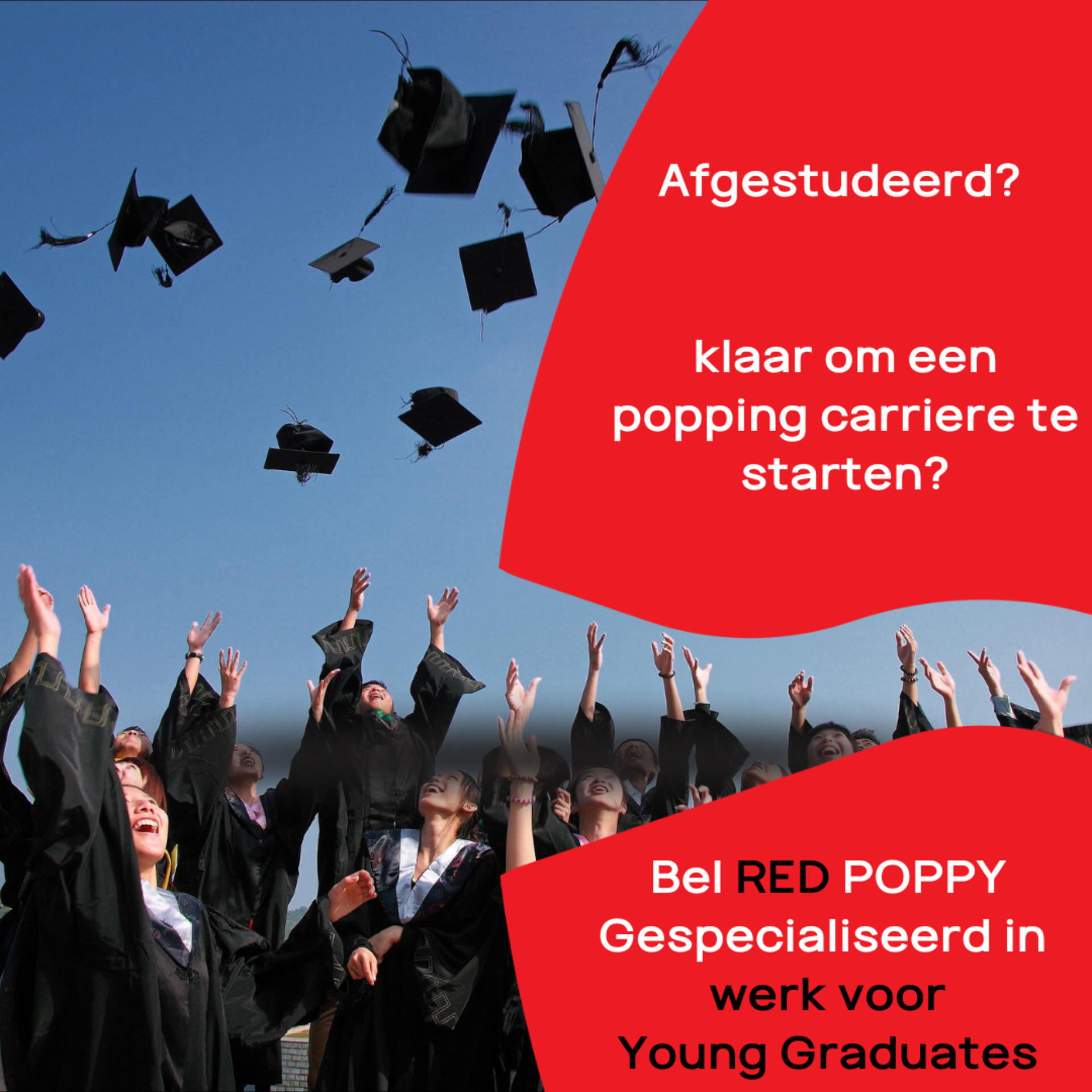 Afgestudeerd Klaar voor het werkveld