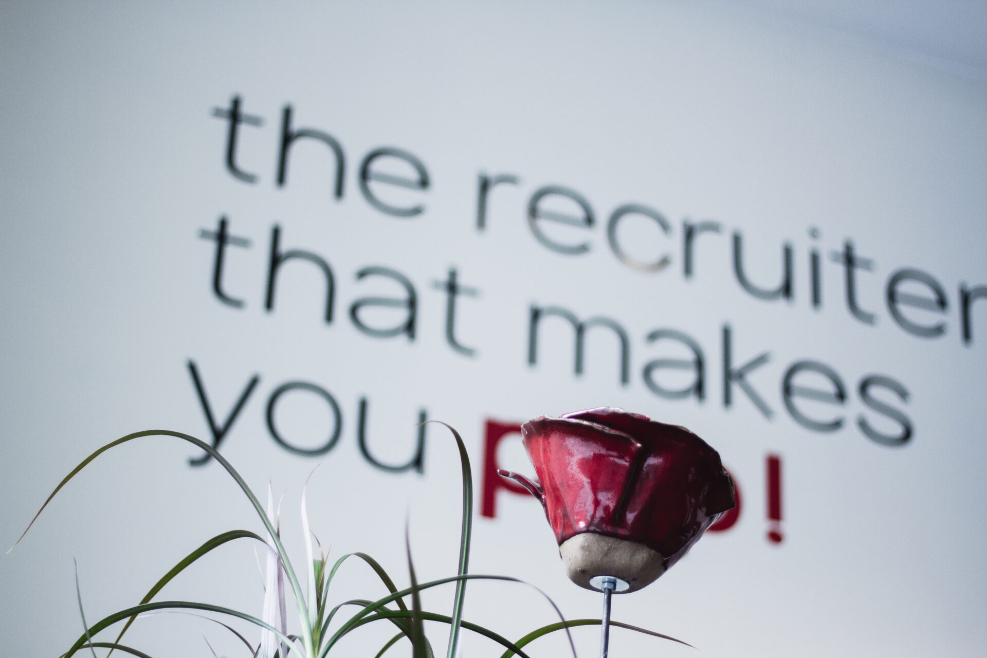 Red Poppy 20240910 55