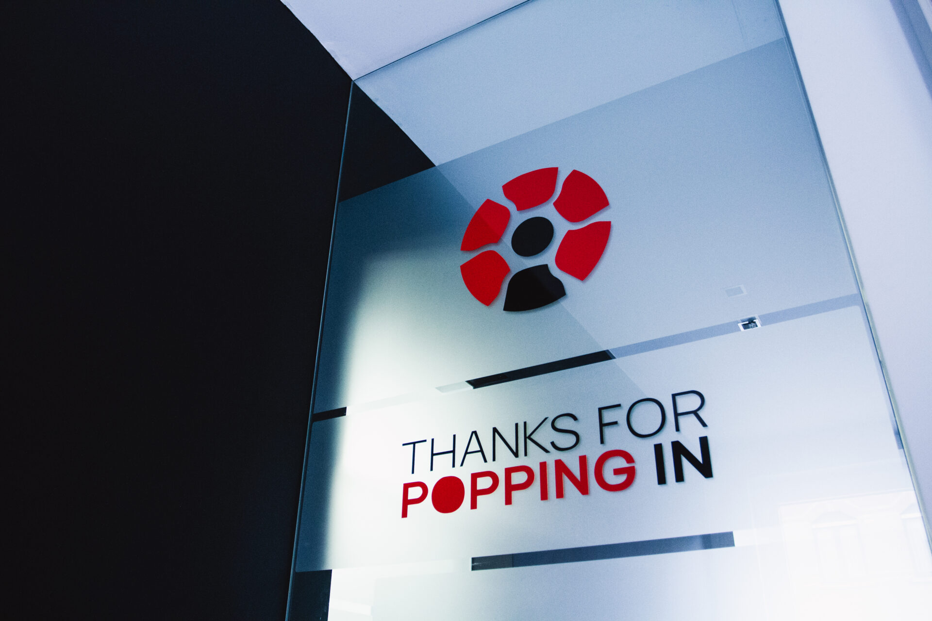 Red Poppy 20240910 7